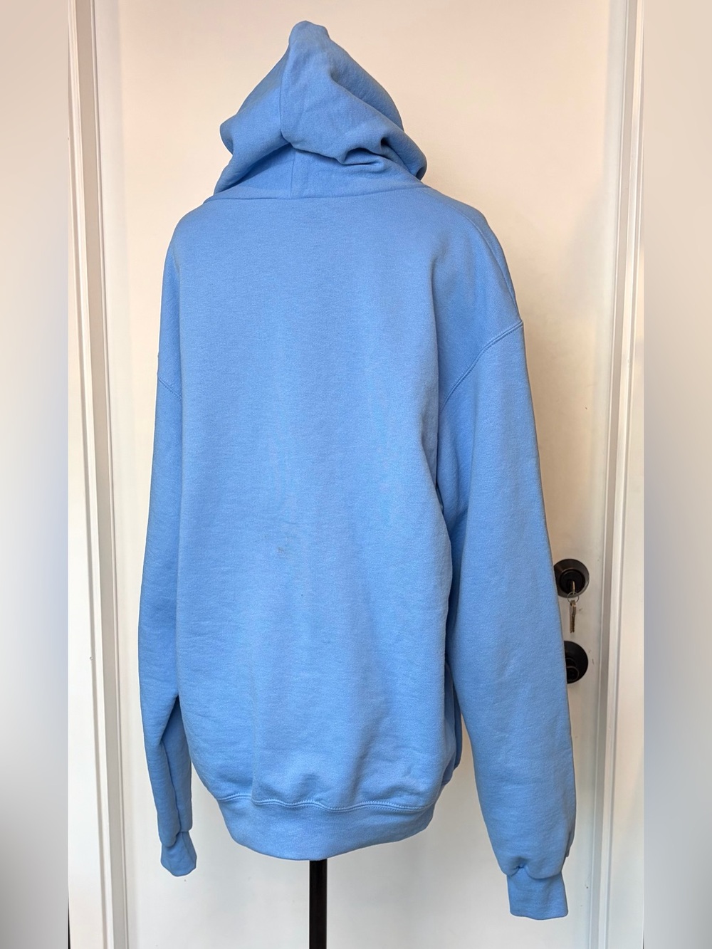 Champion UNC Carolina Blue Pullover Hoodie, Graphic design, Men’s L, EUC - Picture 7 of 10